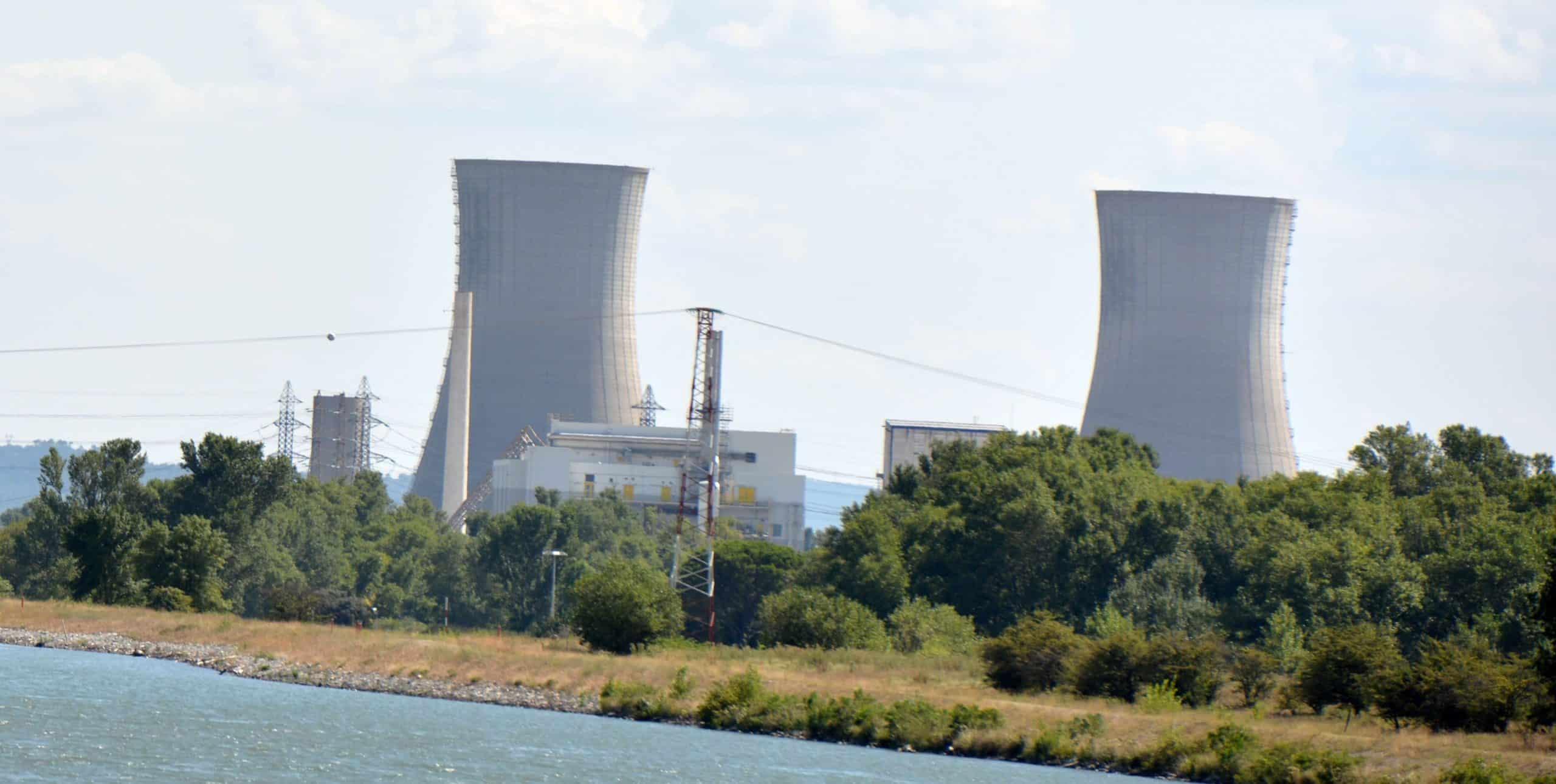 Le nucléaire et les poulains à huit pattes