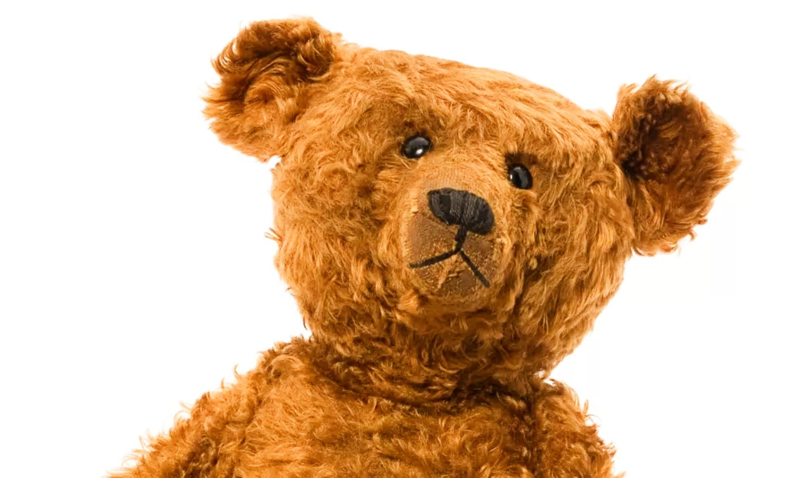 L’ours en peluche, un ami pour la vie!